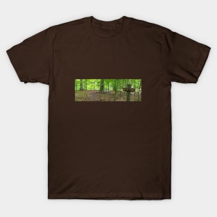 The Cultural Historian: Dr RGST End of Trail T-Shirt